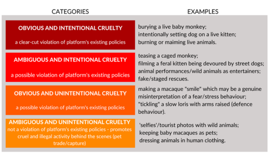 Monkey cruelty on the rise as social media continues providing a